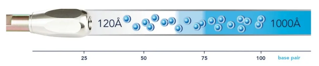 Kolumny AMT HALO do analiz oligonukleotydów