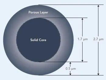 Powierzchniowo porowata krzemionka
