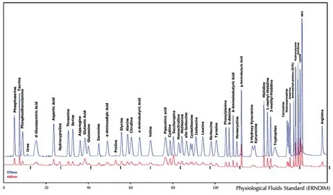 Rozdział aminokwasów fizjologicznych - automatyczny analizator aminokwasów Rozdział aminokwasów fizjologicznych - automatyczny analizator aminokwasów