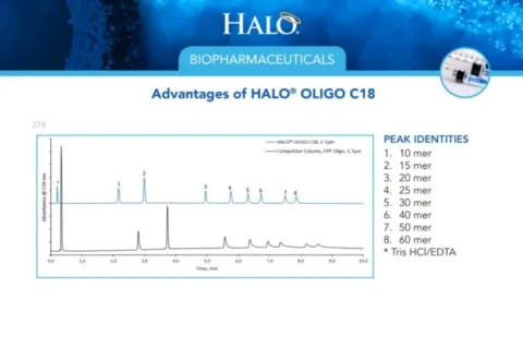 rozdział oligonukleotydów na kolumnie AMT HALO 120
