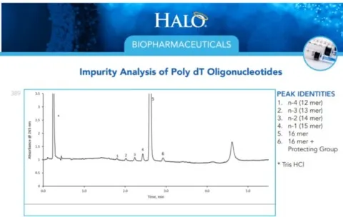 rozdział Poly oligo dT HPLC